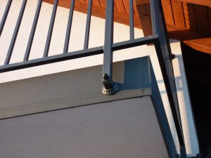 Stalowa balustrada z panelami dekoracyjnymi